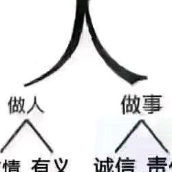 板材大全