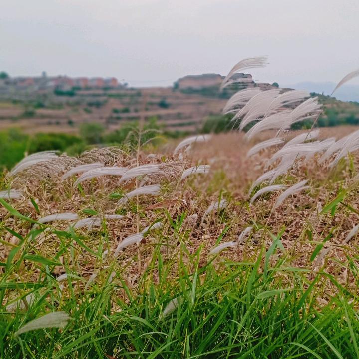 @不 吵 不 闹
