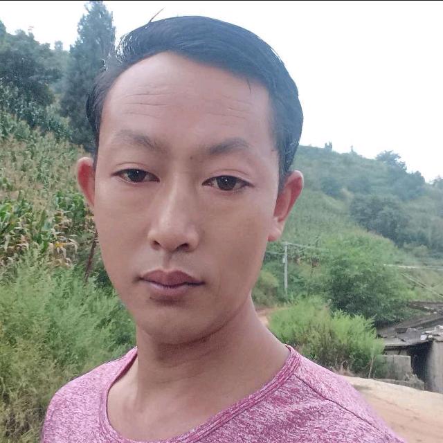 代伟哥来自云南山咔咔