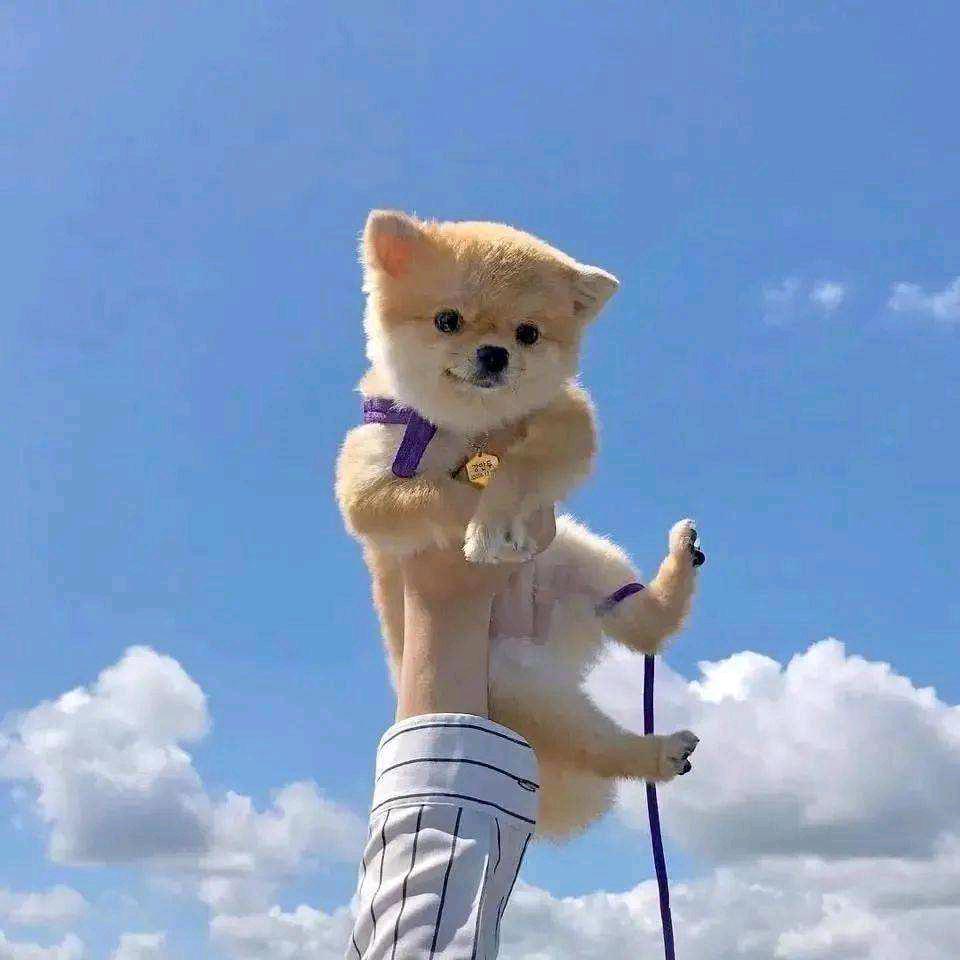 小王去购物