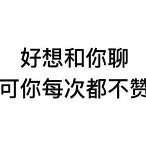 宠晨