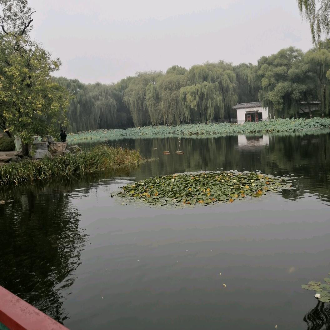 老八