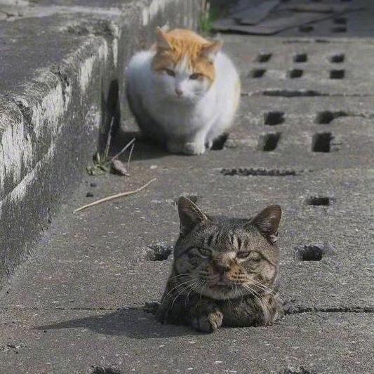 往之