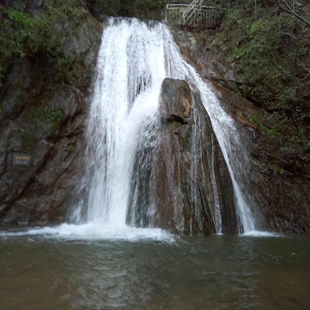 天宇红豆杉景区官方号