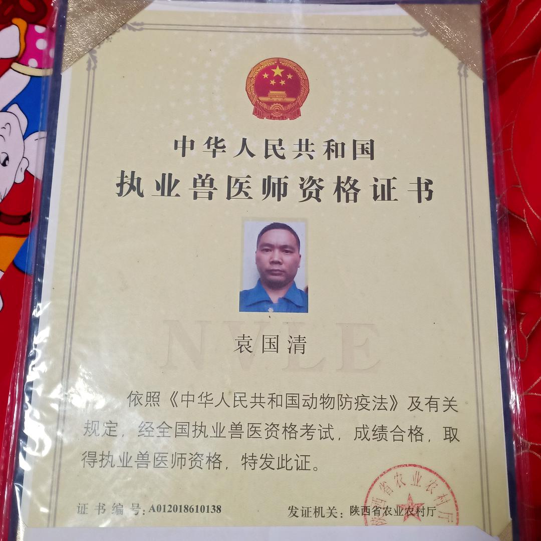 执业兽医师袁敬