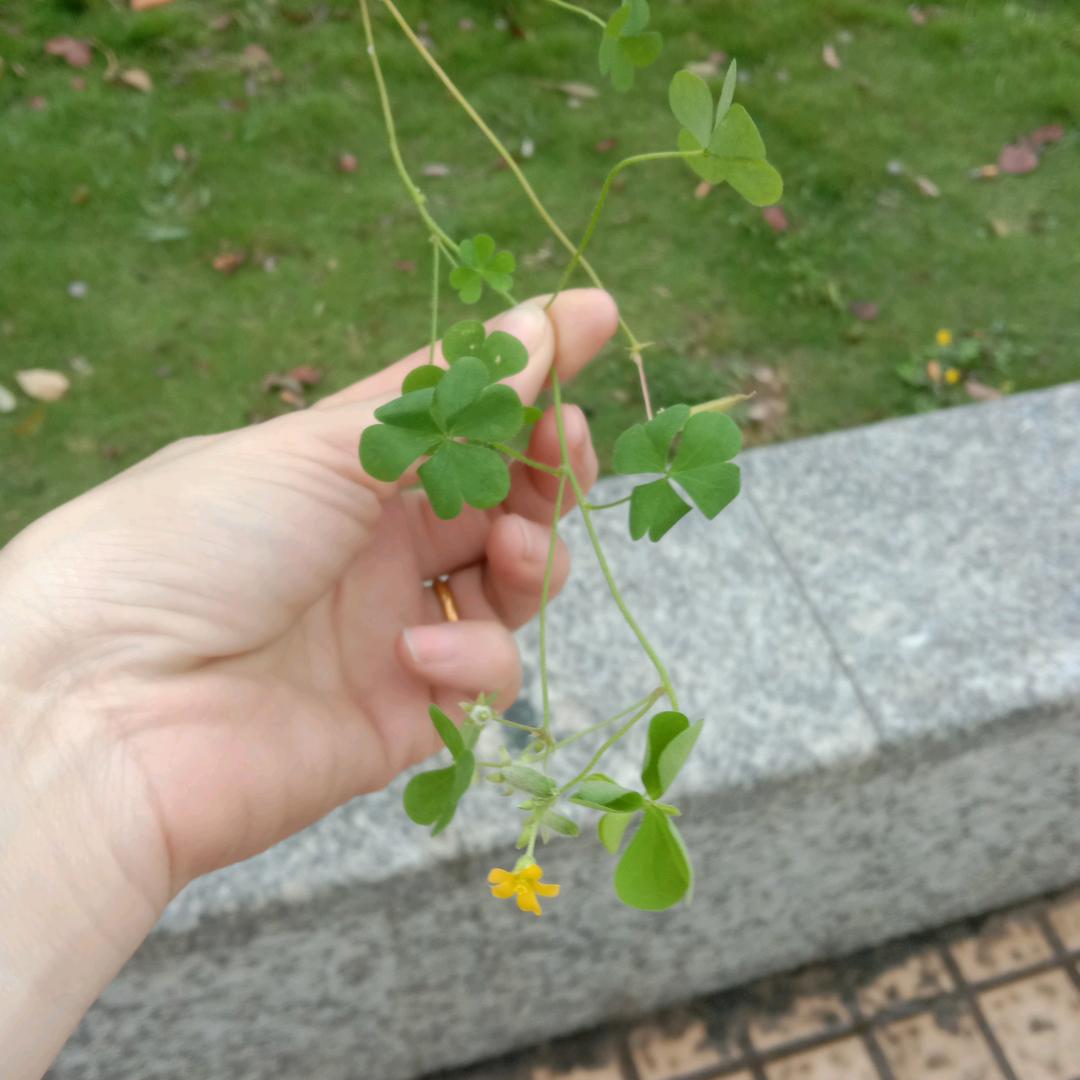 选择幸福