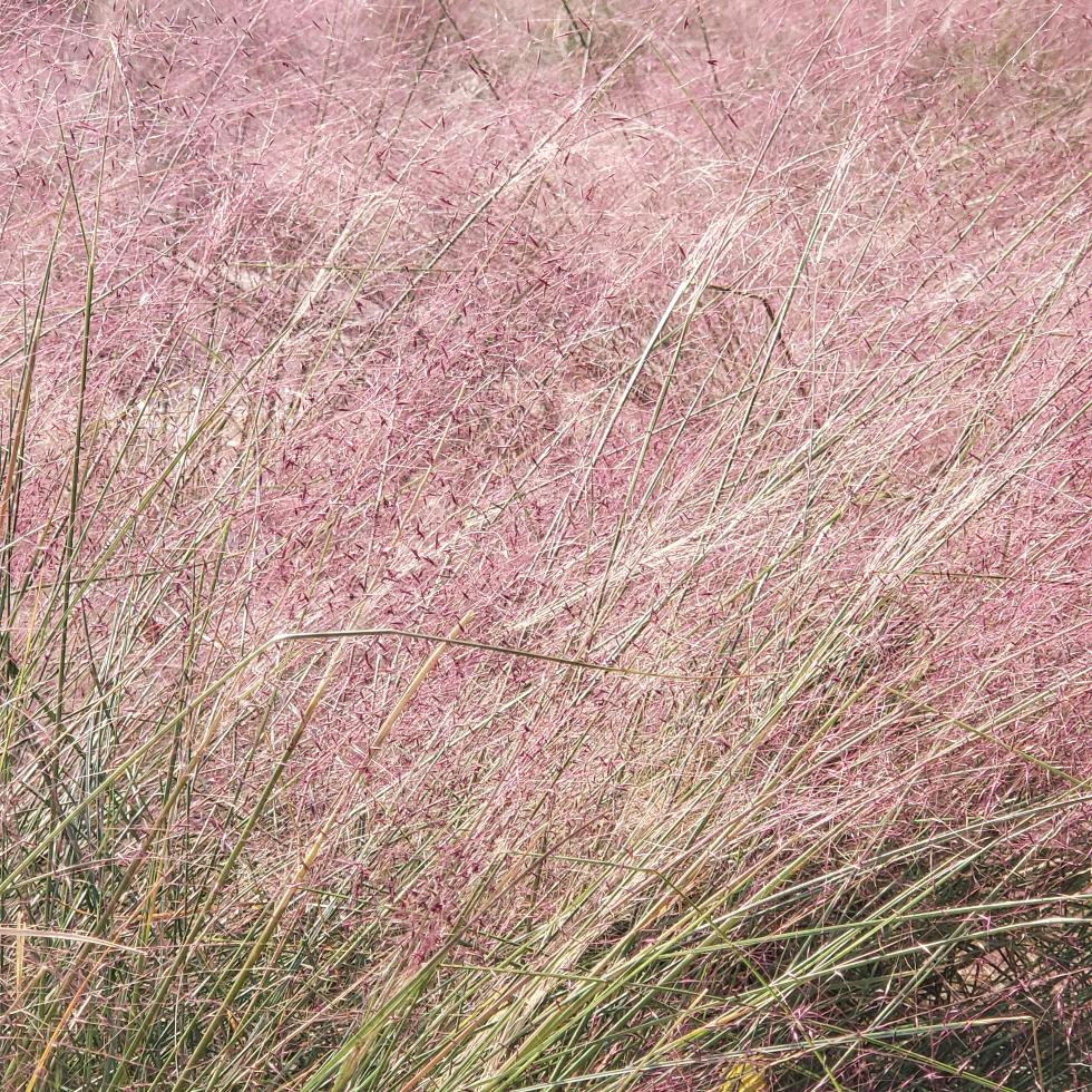 欢迎欢迎欢迎说不出口的三蹦子超载好几十吨