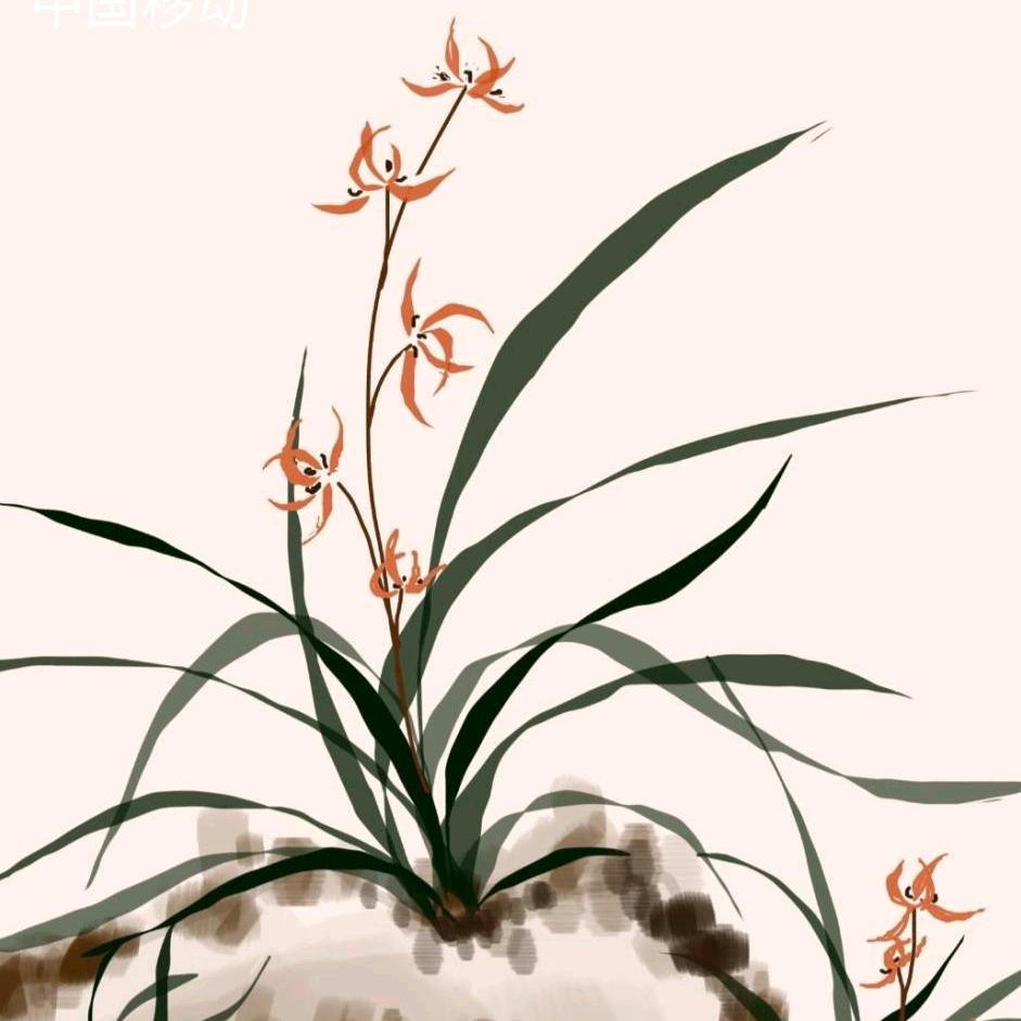 71年腊月🐷LX