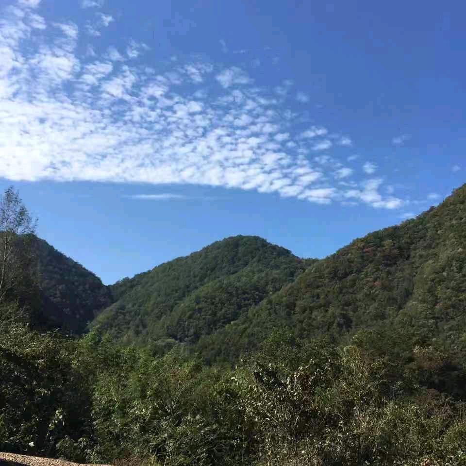 河南博润达王氏建材