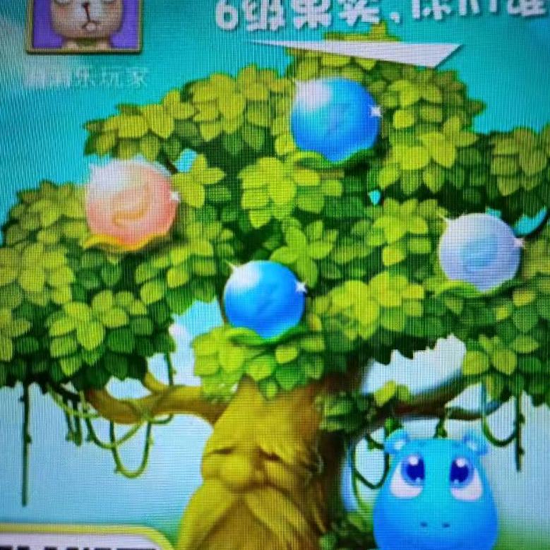 凤