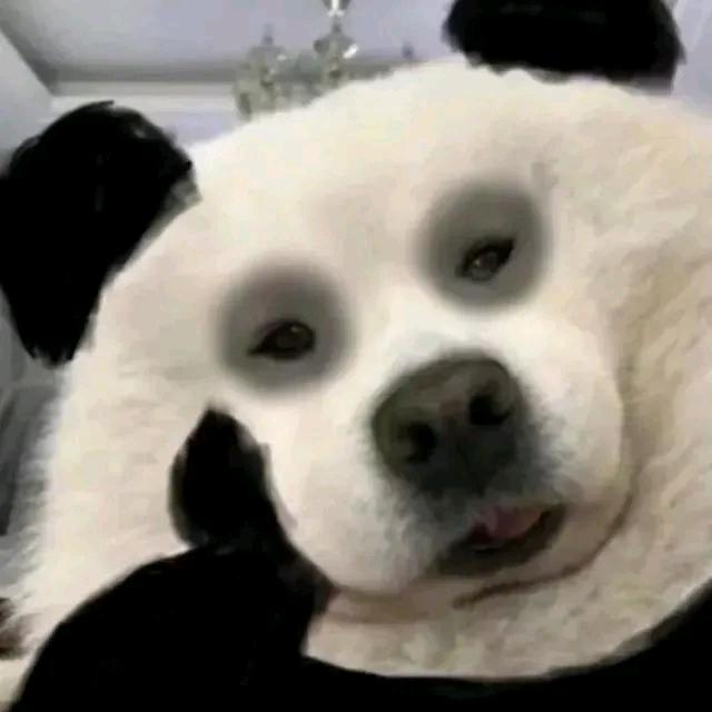 是七七啊👾