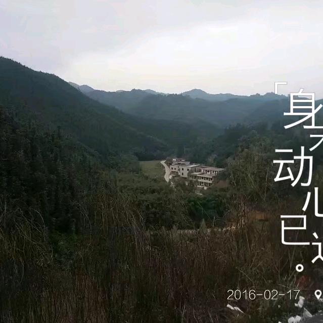 趁阵风不噪
