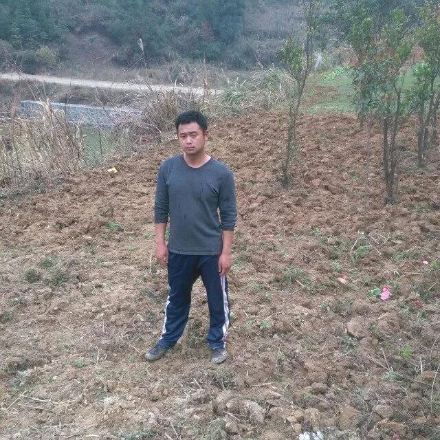 飞龍在天