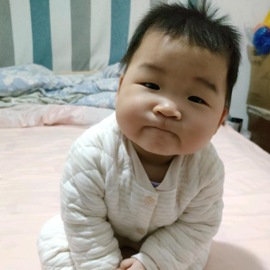 艾美家燕子