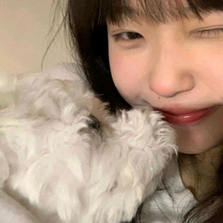 静✨