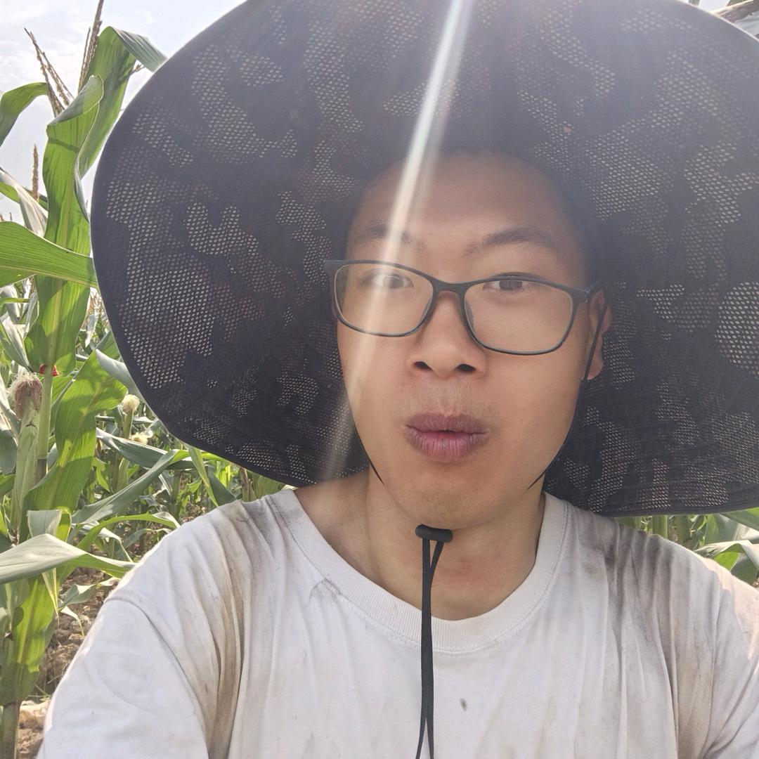 羊疯嘞