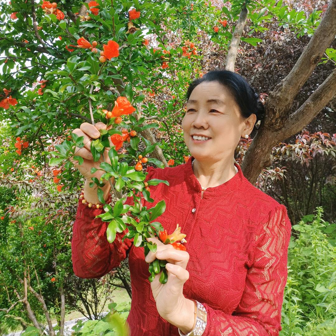菊里夫人🌺