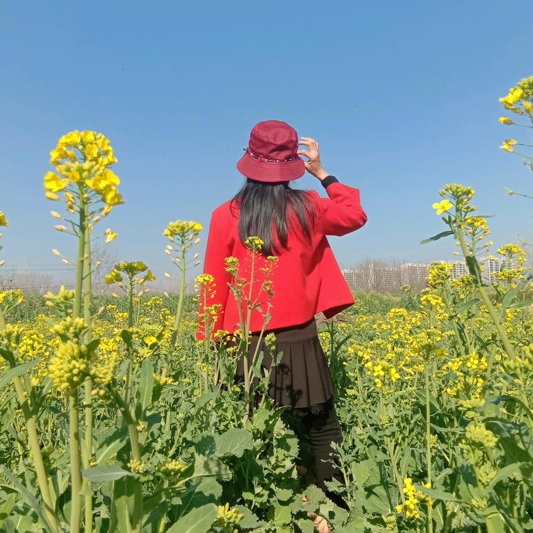 梦儿飞🌹