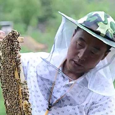 穆棱市河西镇朱连成养蜂场