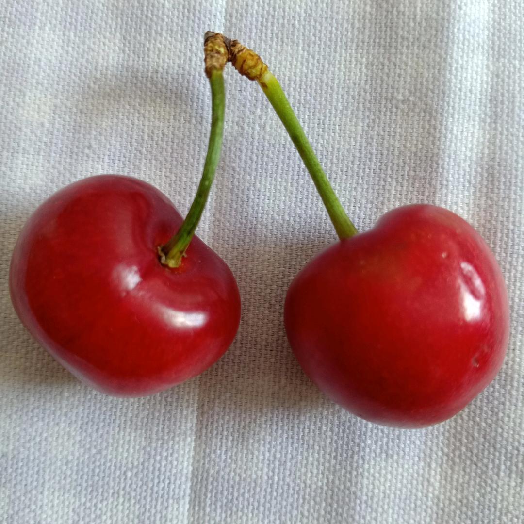 秋天的风