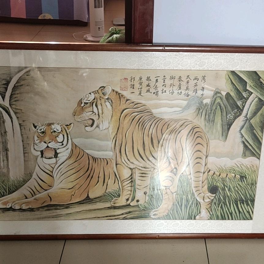 骑着毛驴看世界