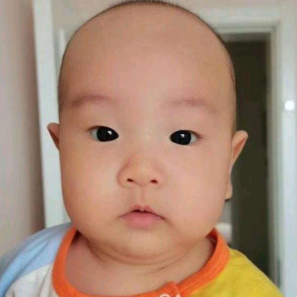 硕硕饲养员
