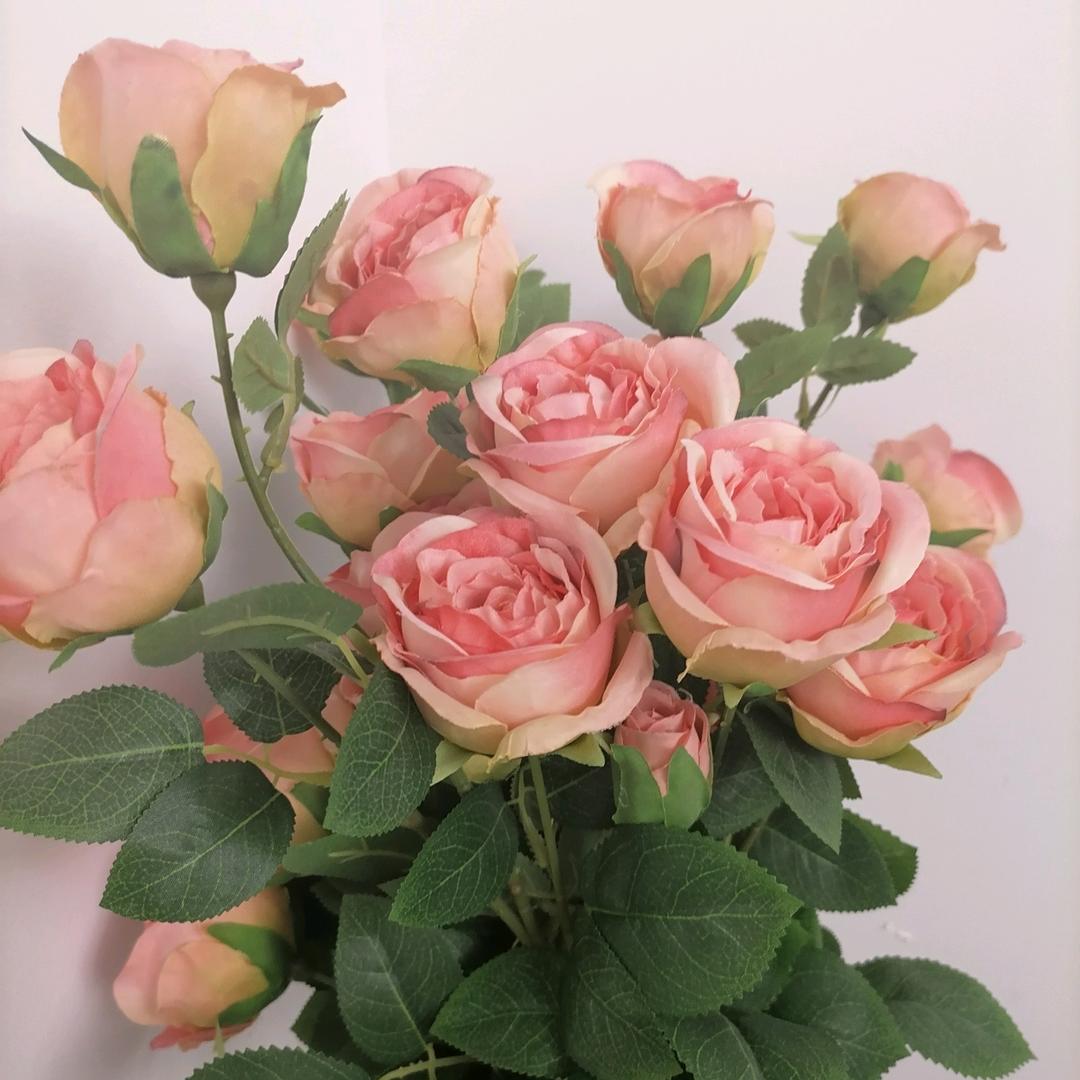 阳光总在风雨后0121