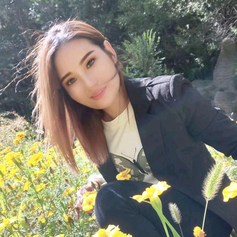 看破红尘的玫瑰