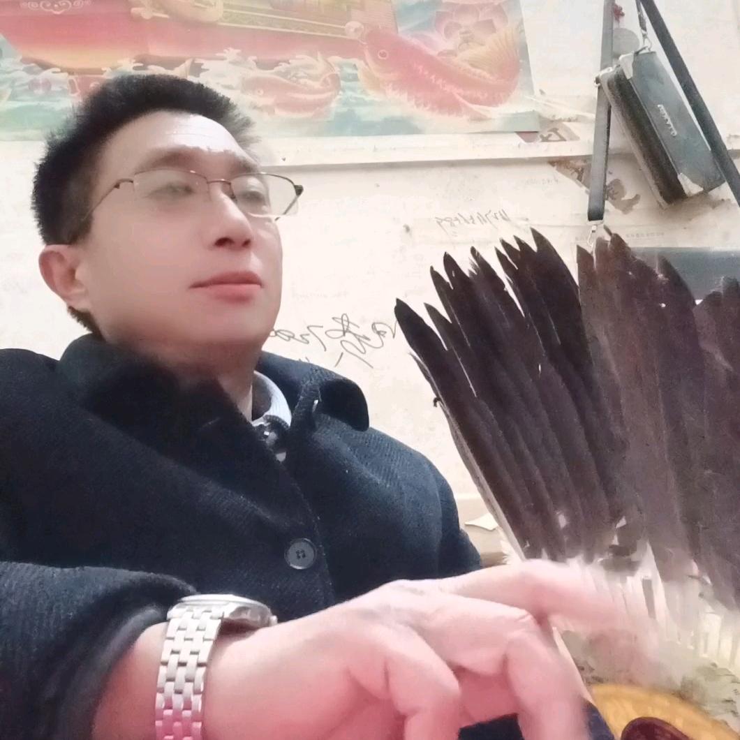 杨帆起航（阿芳）