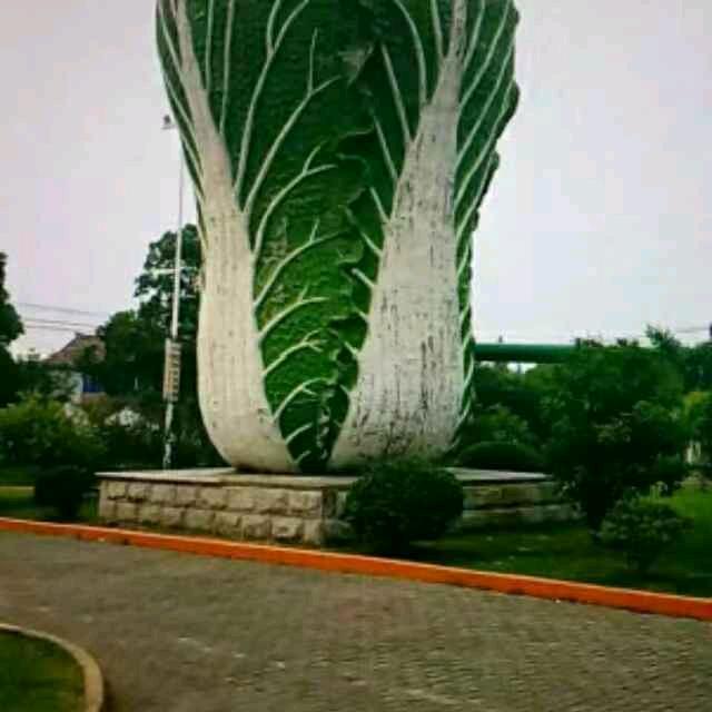 长年销售羊草兔粉