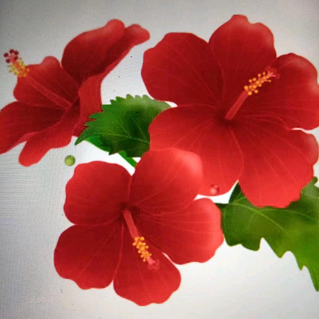 人生如梦”思念”