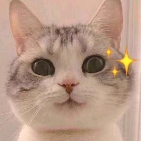 一只资深小仙女