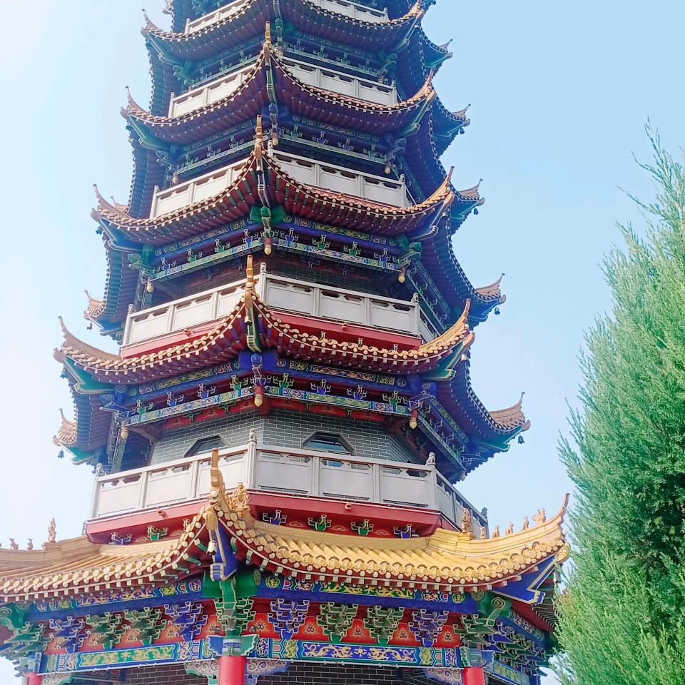 李晓