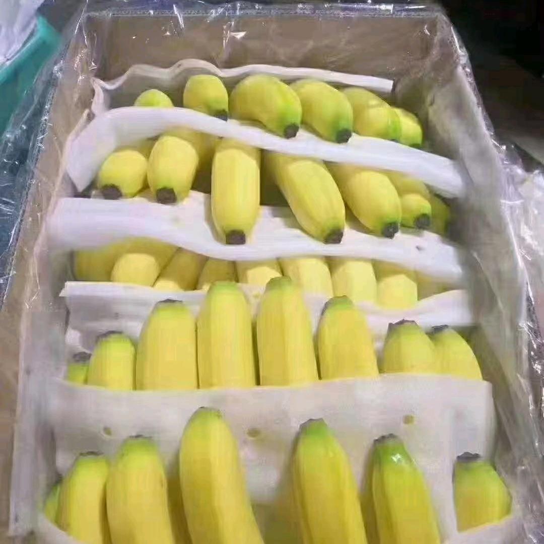 老栗香蕉（蕉友果业）