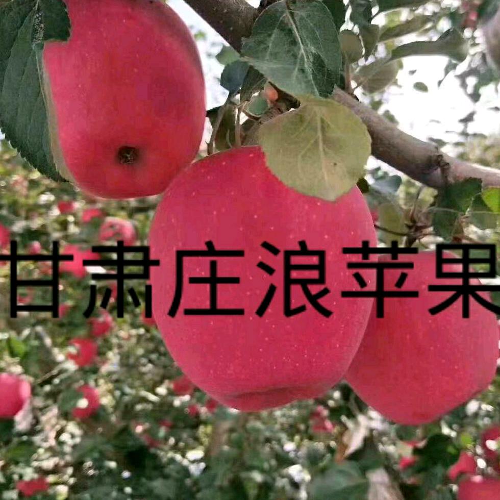 正平果业果品代收代销