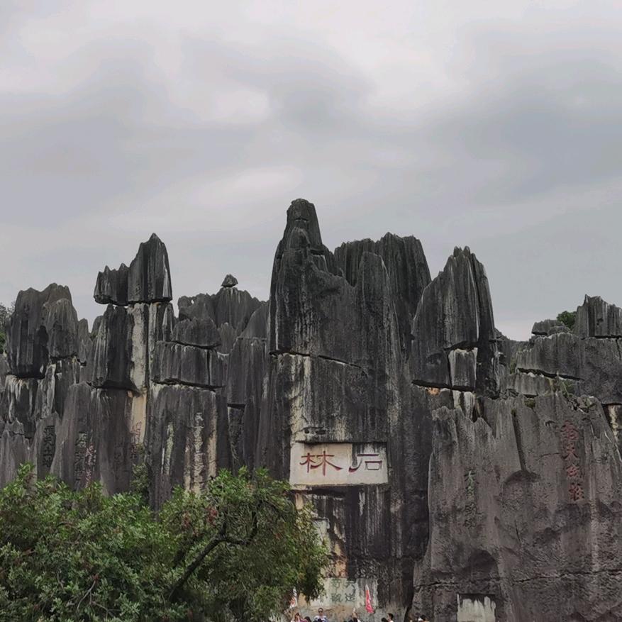 原生（书法培训，文房四宝、字画装裱销售）