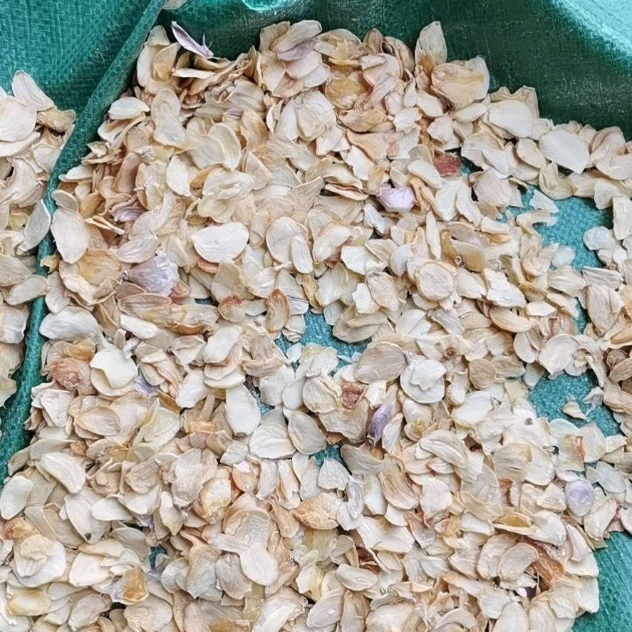 白氏蒜业-蒜种批发零售