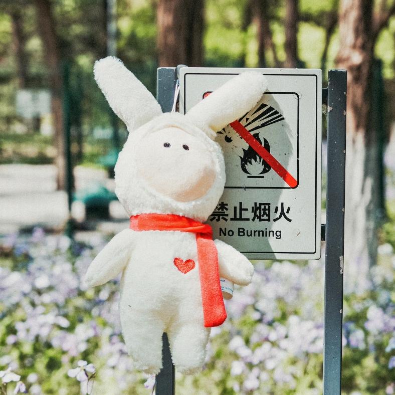 不二。