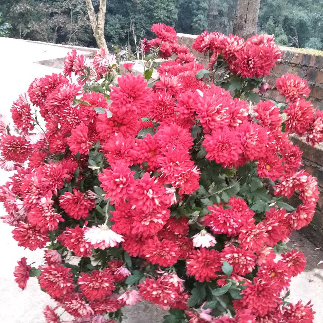 雨过晴天
