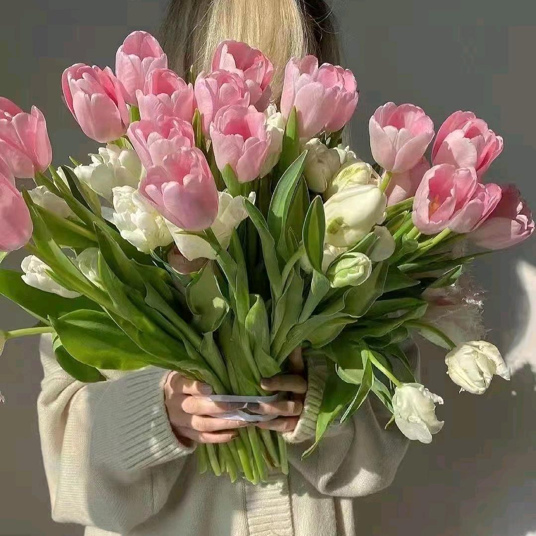 春暖花开