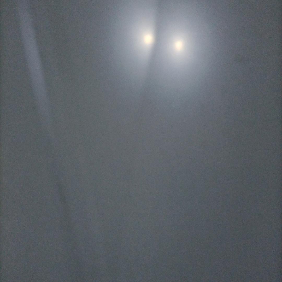 我就是我，不一样的