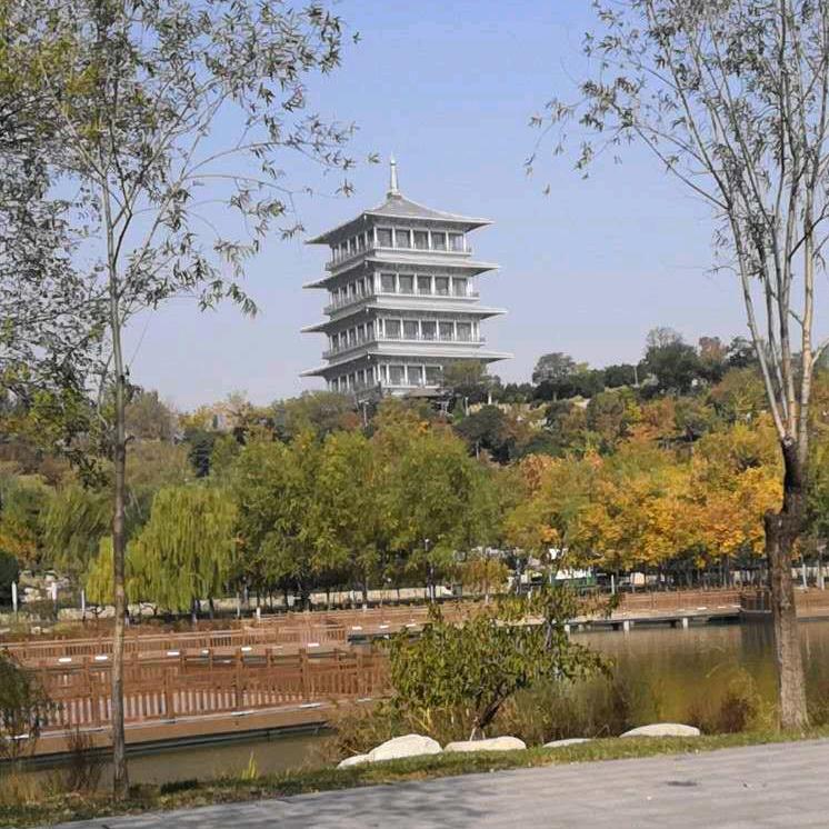 丽丽
