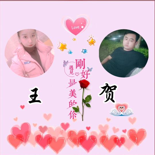 楠姐