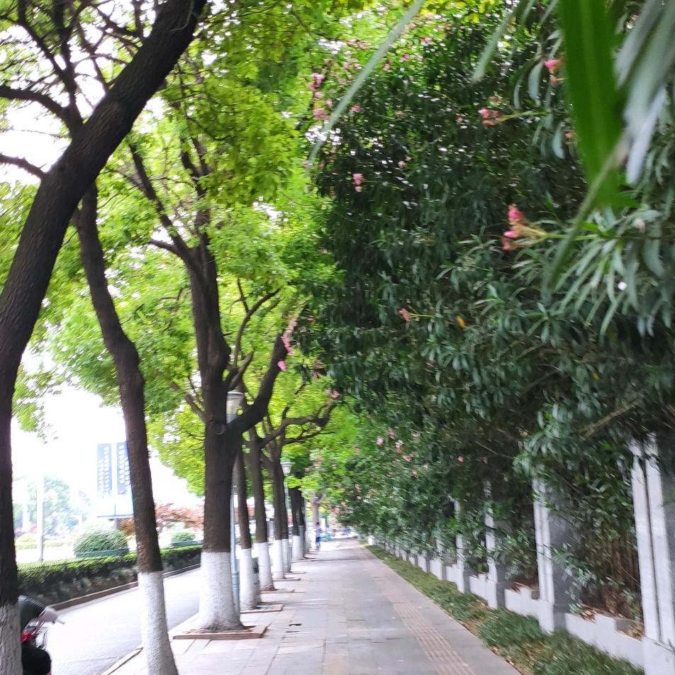 龙凤吉祥