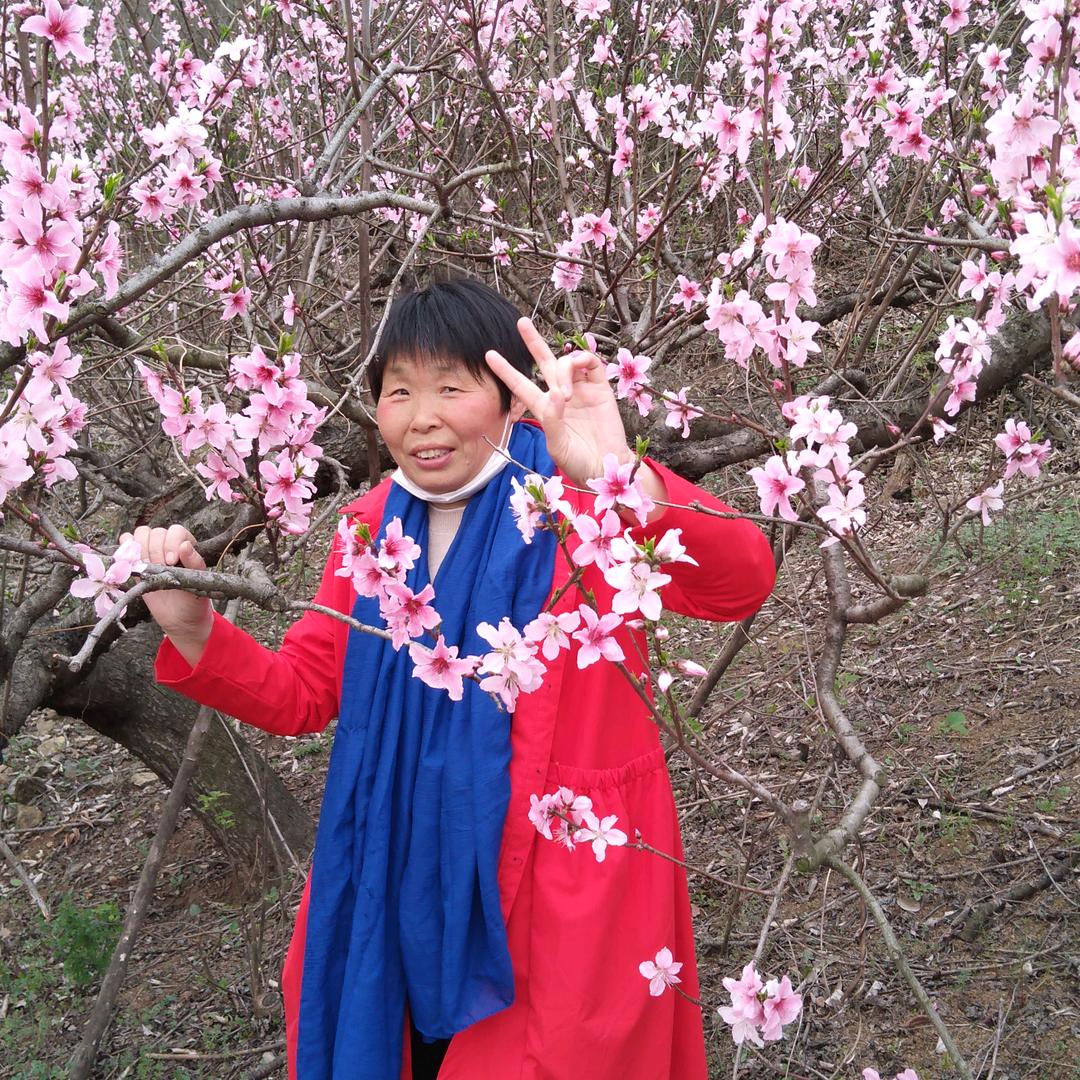已重置