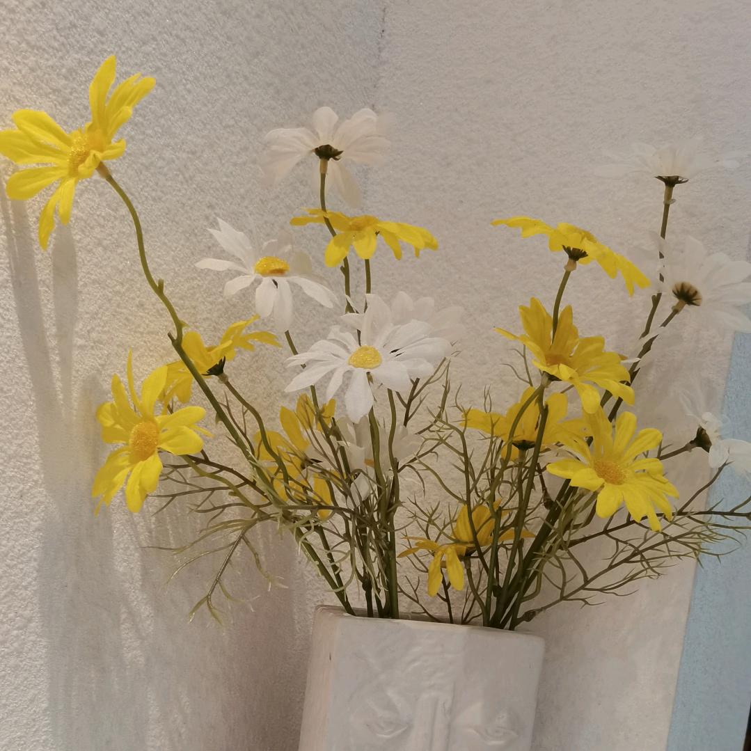 皓月