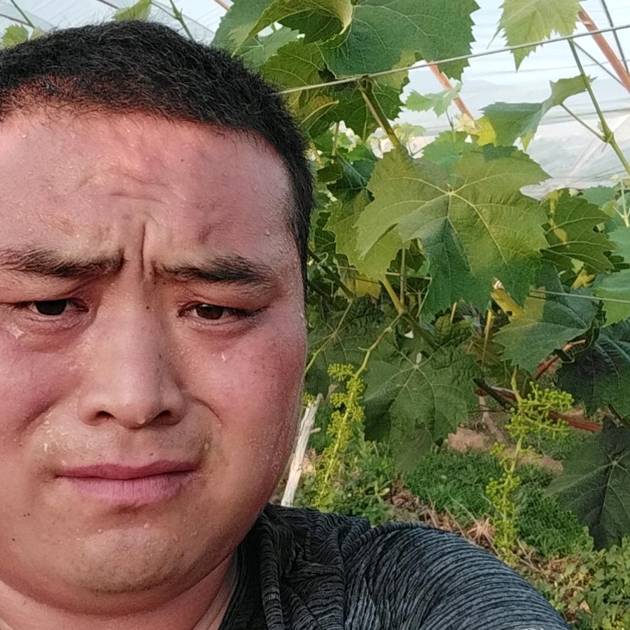 狼行天下🐺战无不胜