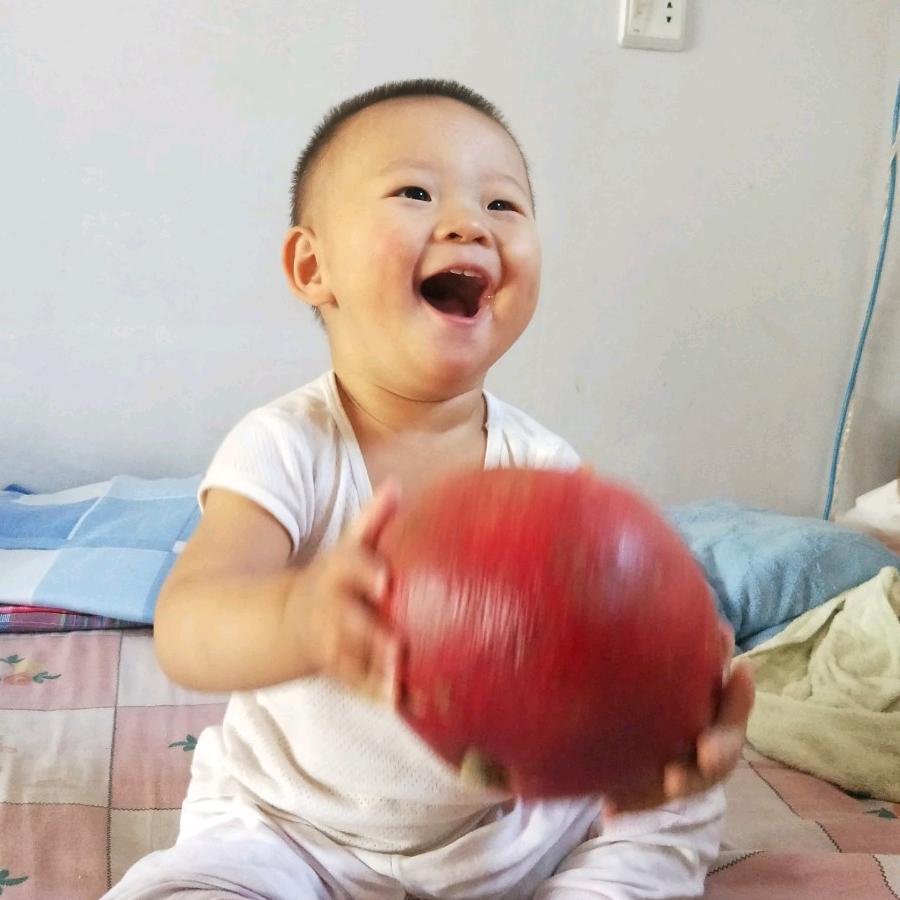 石榴伙计