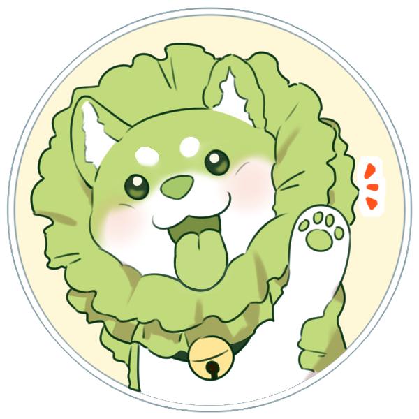 我家儿子是菜狗