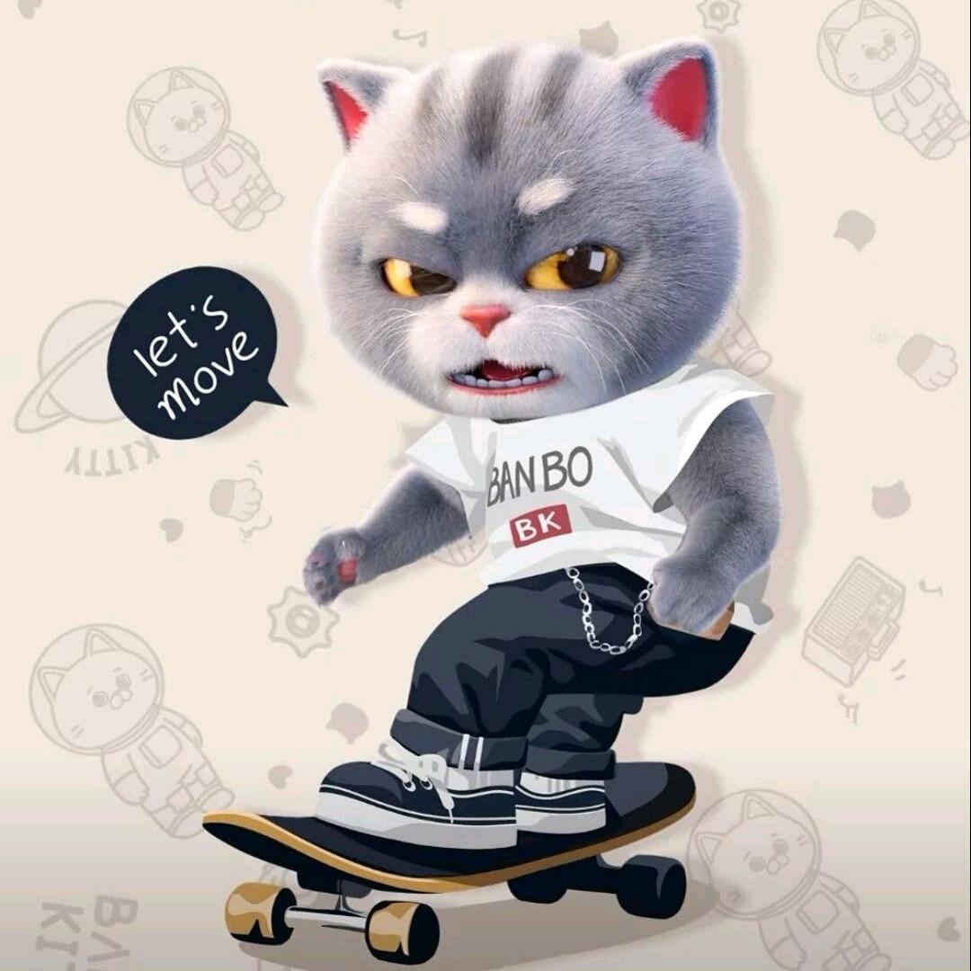 会滑🛹的🐱